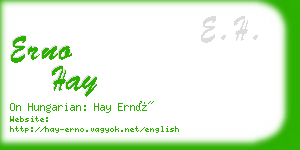 erno hay business card